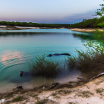 benbrook lake alligators