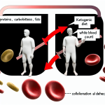 can keto diet cause low white blood cell count