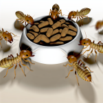 do termites eat dog food