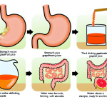 does grapefruit juice make you poop