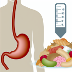 how many pounds of food can the human stomach hold