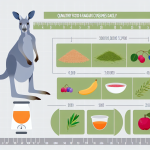 how much food do kangaroos eat a day