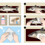 how to clean a mounted fish