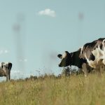 loathsome memories of the dying farming