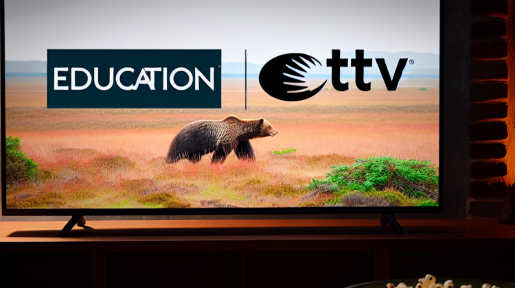 smithsonian channel on dish tv