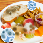 which food probably contains the most bacteria