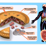 why are meat pies unhealthy